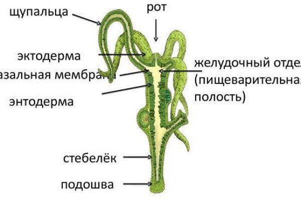Кракен маркетплейс создатель